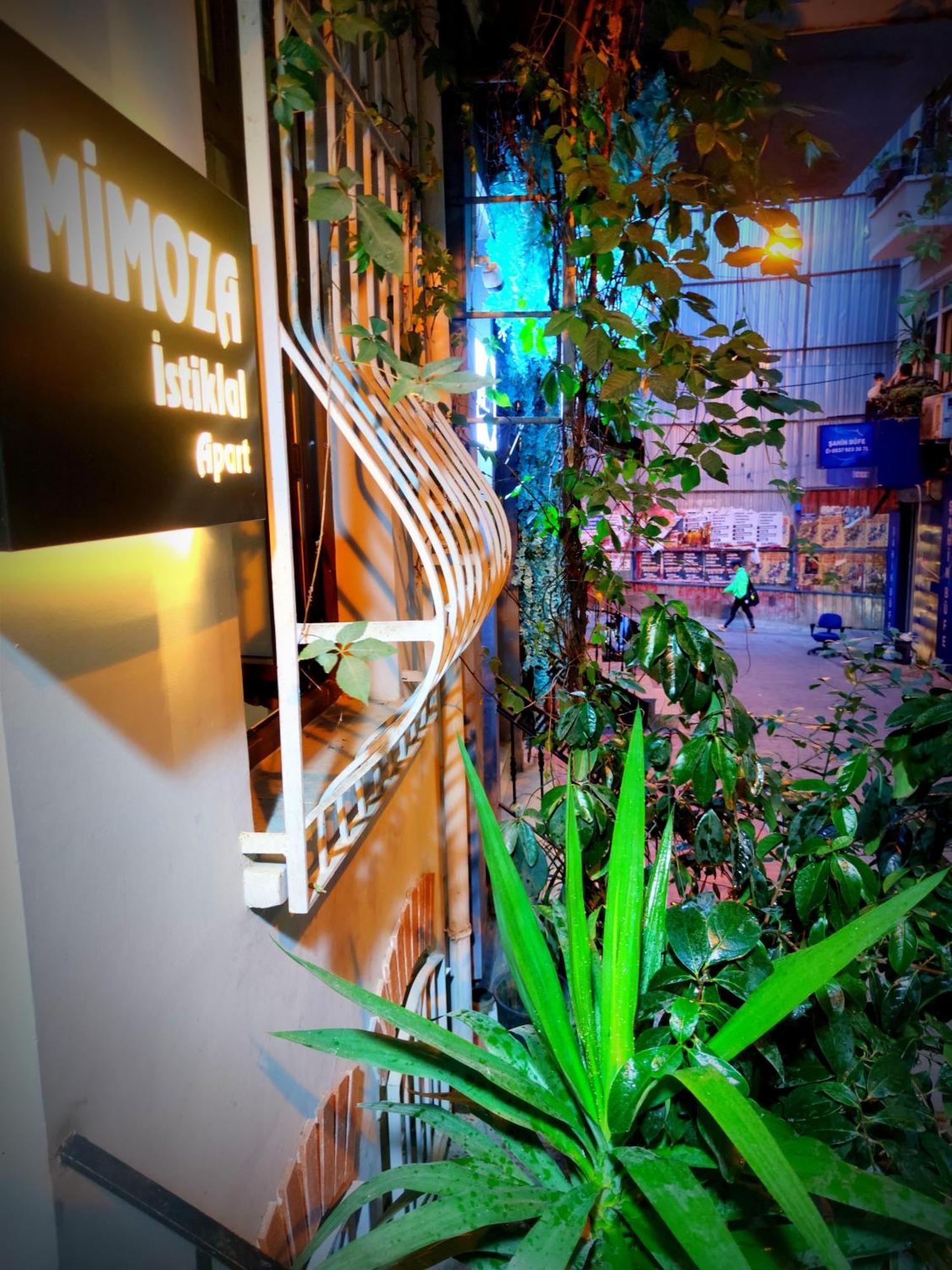 Mimoza Istiklal Apart Hotel イスタンブール エクステリア 写真